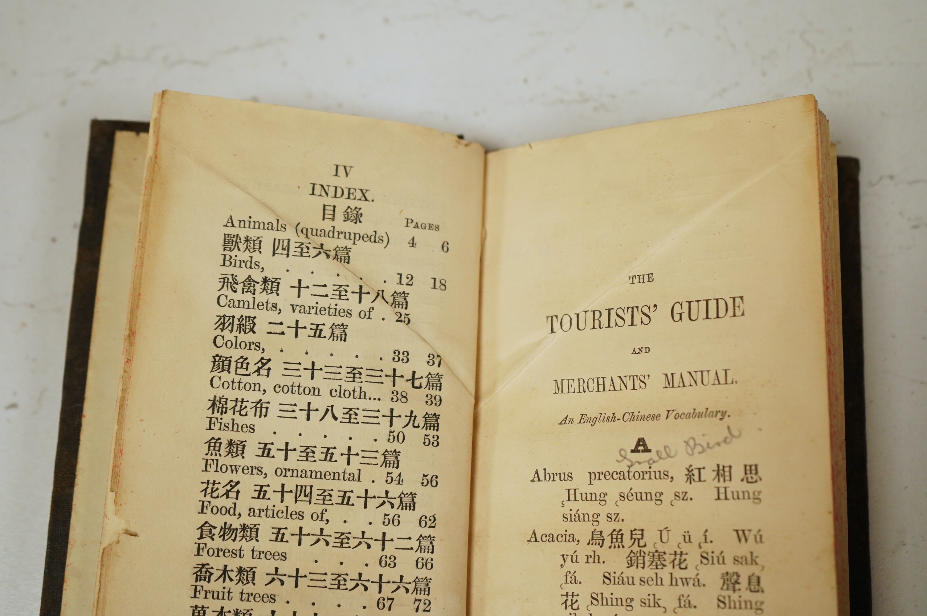 The Tourists' Guide and Merchants' Manual. Being an English Chinese Vocabulary of Articles of Commerce and of Domestic Use ... old binder's gilt ruled cloth, tall slim 8vo. Hong Kong: The 